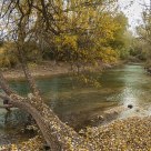 Autumn in the river